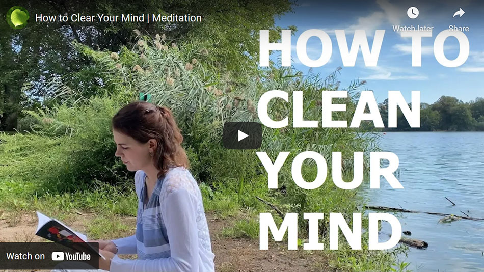 San Jose Meditation – How to Clear Your Mind | Meditation
