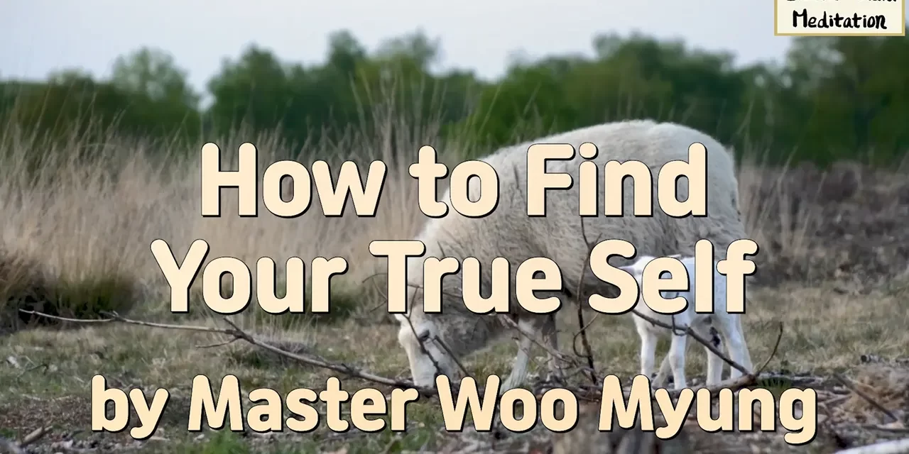 Master Woo Myung – How to Find Your True Self