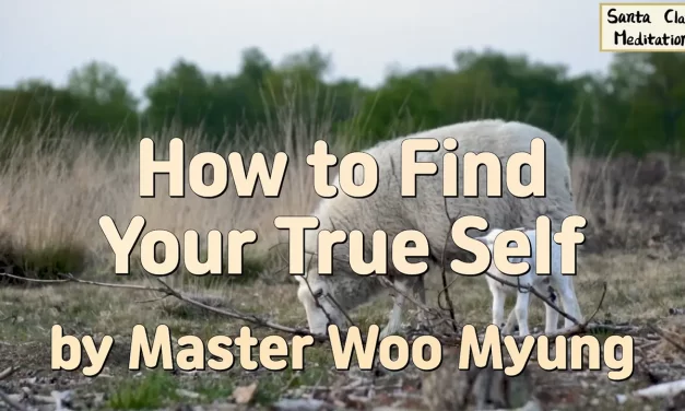 Master Woo Myung – How to Find Your True Self