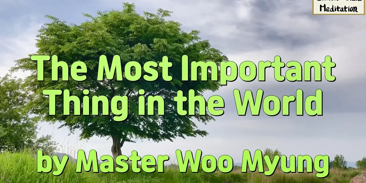 Master Woo Myung – The Most Important Thing in the World
