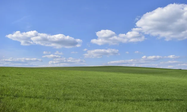 The Sky I